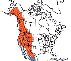 Image depicting the habitat range of the Violet-green Swallow