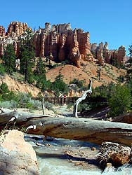 View along Mossy Cave Trail