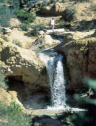Waterfall at Mossy Cave