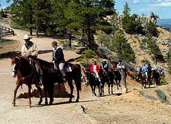 Mule and Horse Riders Returning from Trip into the canyon