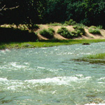 Paddling down the river