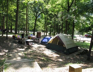 color photo of shady campsite with 2 tents