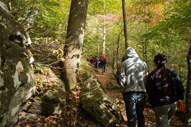 A large group hikes down the Lost Valley Trail.