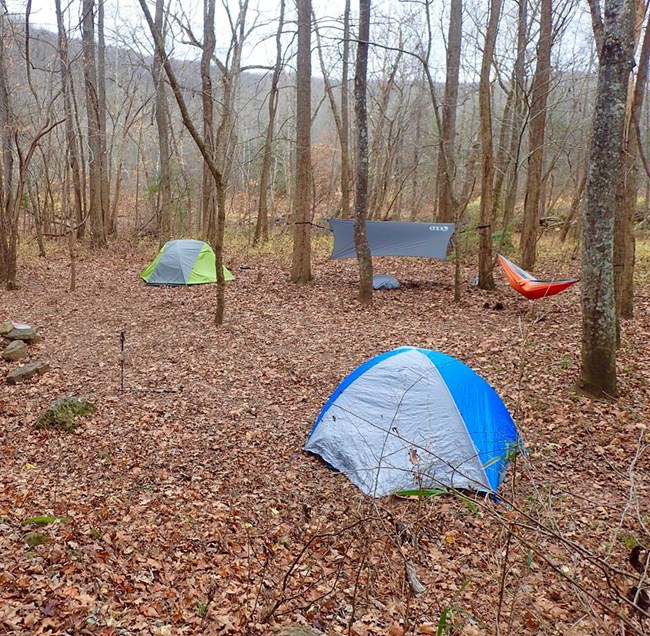 Backcountry camping setup near the Buffalo River