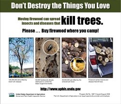 USDA firewood poster