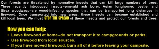 actions to prevent insect infestation
