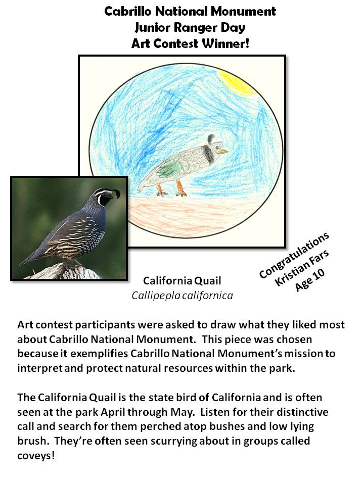 Quail