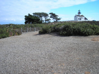 Bluff Event Site