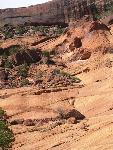 White House Trail