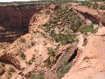 White House Trail