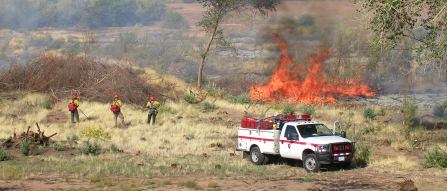 Firefighters in the field