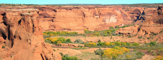 Arizona