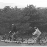 Province Lands Bicycle Trail