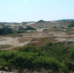 The Province Lands