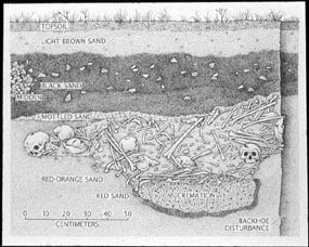 North South profile of Indian Neck Ossuary