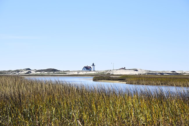 A channel of water flows through a wetland area. A lighthouse can be seen in the distance.