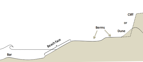 Diagram of beach profile with main components of the profile labeled, including the bar, beach face, berms, and dune or cliff.