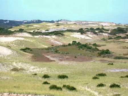 Dune valley from High Head