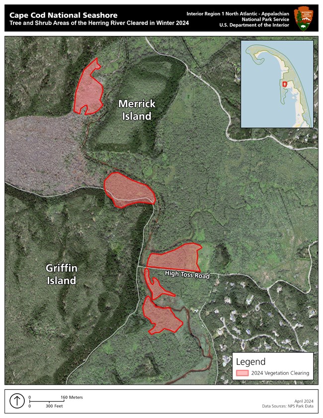 Map of Herring River and Duck Harbor Vegetation Clearing for 2024, with cleared spaces indicated by red polygons on the map.