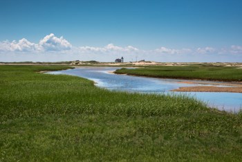 Hatches Harbor salt marsh