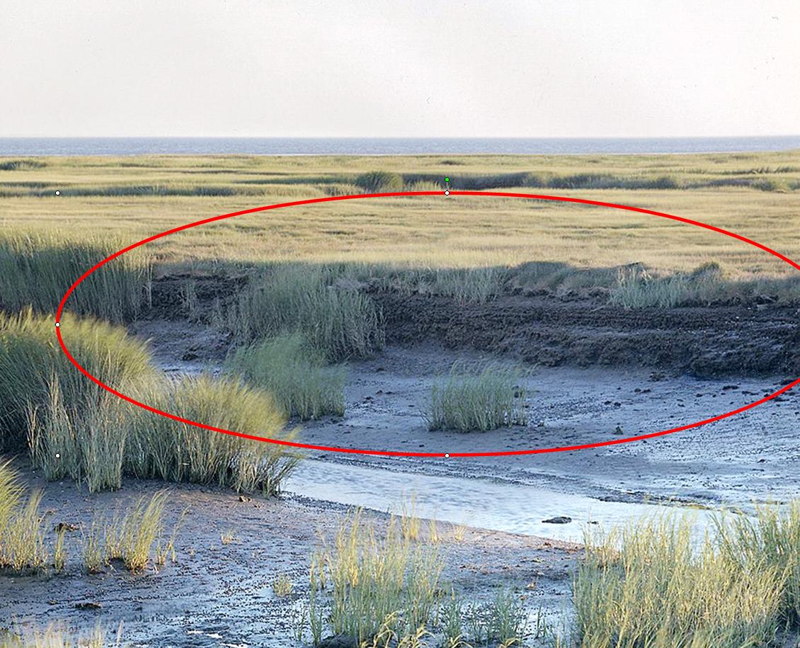 creekbank losses by 1995