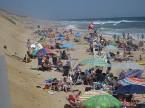summer beach scene