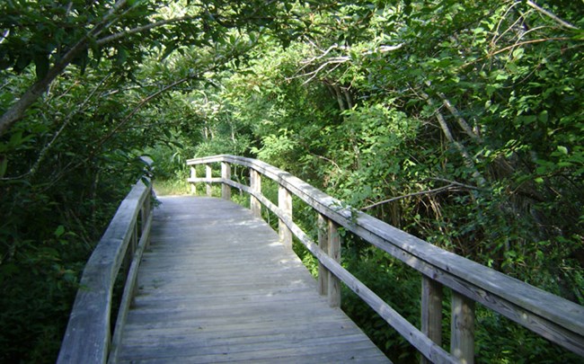 Boardwalk path along the Buxton Woods Trail