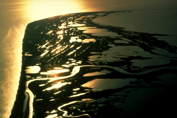 Low angle sunlight makes numerous wetlands and beach ridges glow in an aerial image of a coastline