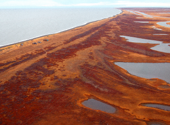 Aerial image of Cape Krusenstern coastline with fall colors, reds and oranges. The tundra is interspersed with bodies of water.
