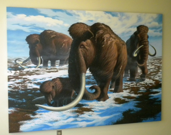 Painting of a herd of Wooly Mammoth