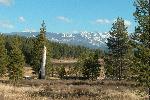 Site of ill-fated Donner-Reed winter camp.