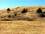 Windlass Hill near Ash Hollow