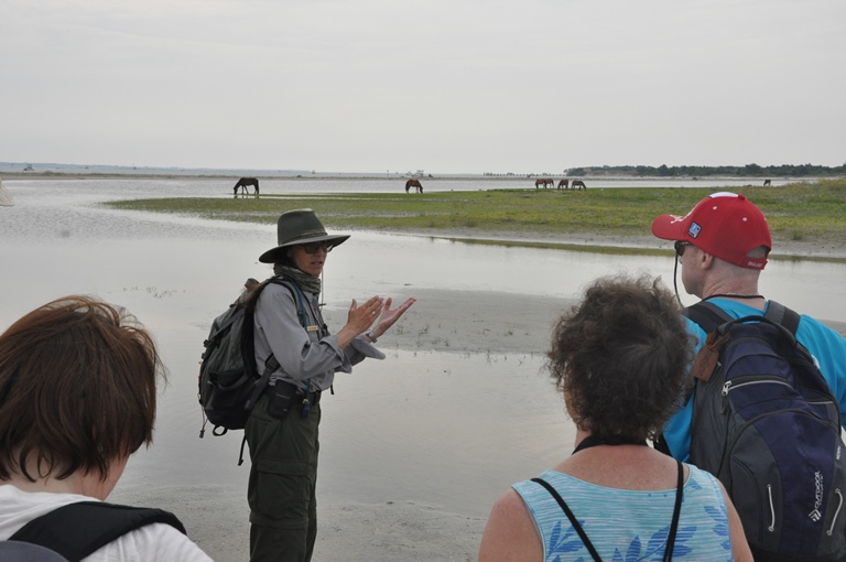 Sue and group with horses in distance-PR 15 1013 Horse Sense & Survival Tours
