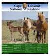 2013 Paper Cover