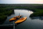 Kayaks in Soundside Marsh