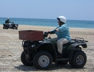 ATV Rider