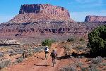 Bikers on the White Rim Road