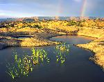 Pothole Point