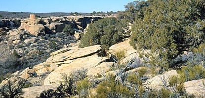 photo: Dakota Sandstone at Hovenweep National Monument