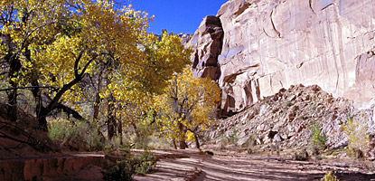 Walls of Navajo Sandstone in Horseshoe Canyon
