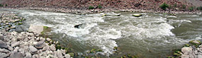 Ben Hurt (Rapid 20)