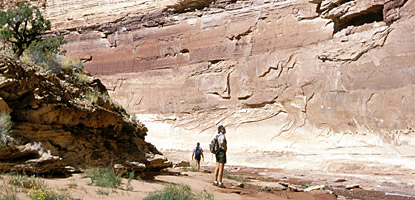 photo: The steep-walled canyons of the Maze limit access to only a few established routes