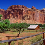 Pendleton Barn and Orchards