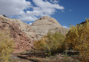 Capitol Dome