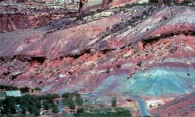 Dark red and alternating greenish-gray banding characterize the Chinle Formation.
