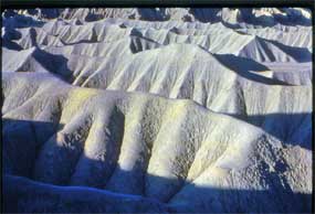 Sediments forming the Mancos Shale were laid down in a marine environment