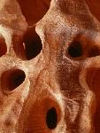 Solution pockets are shallow holes in cliffs that form when water erosion removes weakly cemented sand grains.
