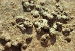 Sandstone knobs found along the Frying Pan Trail