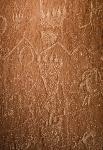 Bear paw prints found in Capitol Reef National Park.