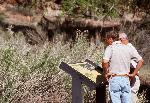 Visitors stop to read a wayside at the Fruita Schoolhouse.